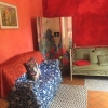 Отель Spacious House With Private Garden in Chianti, фото 13