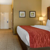 Отель Comfort Inn & Suites, фото 5