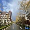 Отель Mariolio Homestay (Dalian Golden Pebble Beach), фото 7