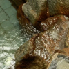 Отель Yumura Onsen Koboyu, фото 15