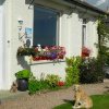 Отель No12 Bed and Breakfast, St Andrews, фото 1