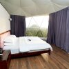Отель Teela The Glamping Resort, фото 4