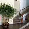 Отель Chonpines Hotel · Chengxiang ( Heyuan Railway Station Top Fountain of Asia), фото 6