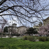 Отель Italianway - Piazza Niccolo Tommaseo 2A, фото 1