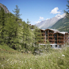 Отель La Vue - Zermatt Luxury Living Appartements, фото 15
