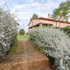 Отель Cosy Holiday Home in Rispescia-grosseto With Terrace, фото 21