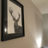 Отель Chalet-Hotel Starlight, фото 10