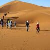 Отель Locals Under Stars Trips, фото 28