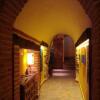 Отель La Beltraneja, фото 18