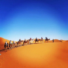 Отель Trans Sahara, фото 22