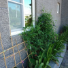 Отель Sen Yun Zhuang Yuan Homestay, фото 31