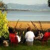 Отель The Apple Pickers' Cottages at Matahua, фото 16