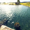 Отель Garður Stay Inn by the Secret Lagoon, фото 10