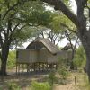 Отель Elephant's Eye, Hwange, фото 20