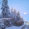 Отель Lapland Snow Cabin, фото 15