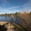 Отель Drake Park Villa-On River-3BR/2.5B, фото 18