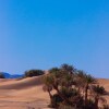 Отель Kasbah Desert Camp, фото 14