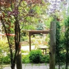 Отель Sapanca Gonul Sofram Bungalow, фото 8