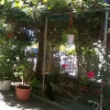 Отель Ilieva guest house, фото 11