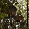 Отель Permai Rainforest Resort, фото 28