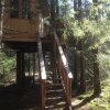 Отель Urnatur Eco Treehouse Lodge, фото 48