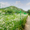 Отель Yongin Sun & Moon Peension, фото 19