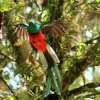 Отель Ranchitos Del Quetzal - Parque Ecológico Gucumatz, фото 5