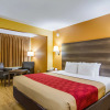 Отель Econo Lodge Cumberland, фото 6