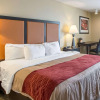 Отель Comfort Inn East, фото 5