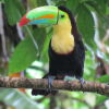 Отель Heliconia Island, фото 24