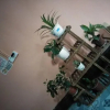Отель Lin Jian Ting Yu Hostel, фото 19