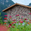 Отель Floral Hotel Ban Po Hui Wang Zhangjiajie, фото 25