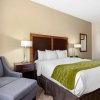 Отель Comfort Inn & Suites Lakeside, фото 35