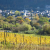 Отель WILDBADSTRASSE, фото 13