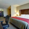 Отель Comfort Inn & Suites, фото 5