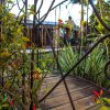 Отель Damicha Boutique Lodge в Долине Эзулвини