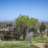 Отель Villa Paola, фото 26