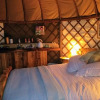 Отель Cosy and Inviting Waterside Luxury Yurt, фото 27