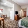Отель Comfort Inn & Suites, фото 36