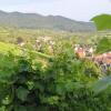 Отель Ferienhaus Steinger am Blumengässle, фото 2