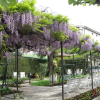 Отель Giardino, фото 9