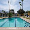 Отель Monkey Tree Hotel 4 in Palm Springs, фото 14