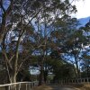 Отель Big Tiny Paperbark Tiny House, фото 29