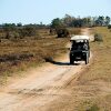 Отель Inkwenkwezi Private Game Reserve, фото 23