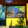 Отель Suites Arara Azul Buzios, фото 10