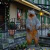 Отель Bären - The Bear Inn, фото 23