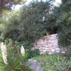 Отель Apartment Zelko - garden and barbecue: A3 Hvar, Island Hvar, фото 9
