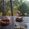 Отель Tree Cool Resort, фото 10