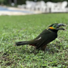 Отель Pousada Villa da Glória, фото 31