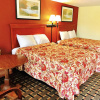 Отель Greystone Motel, фото 3